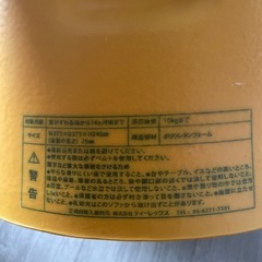 Bumbo バンボの画像