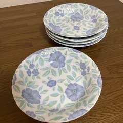 カレー皿＆スプーン　5客セットの画像