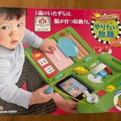 やりたい放題　スマート本の画像