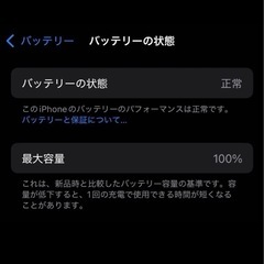 【極美品】iPhone 16e 256GB SIMフリー ブラック 5点セットの画像