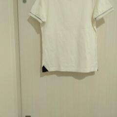 レディースティーシャツの画像