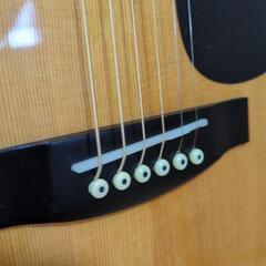 【美品】Prologue MD-100N  custom made  アコースティックギターの画像