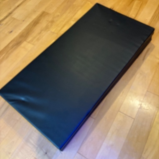 カラダスタイル 240 120 35センチのマット