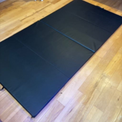 カラダスタイル 240 120 35センチのマット