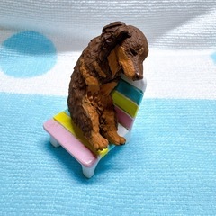 いっしょにねんね ミニチュアダックスフンドの画像