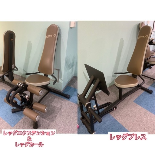 alexia アレクシア トレーニングマシン シングルレッグエクステンション・カール レッグエクステンション／カール｜油圧式トレーニングマシン（業務用