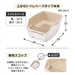 猫 トイレの画像