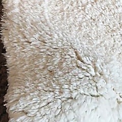 玄関マット　バスマット　綿100% 白　2セットの画像