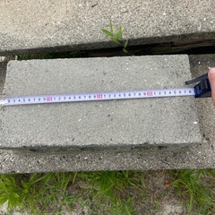 祖父👴の盆栽園の片付け中‼️ブロック🧱もありますの画像