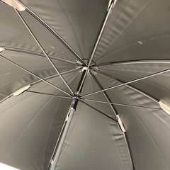 【美品】日傘の画像