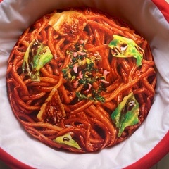 UFO 焼きそば　ペットベッド　ノベルティ　日清　ペット用ベッドの画像