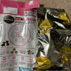 ドッグフード　子犬用の画像