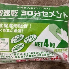 下地調整塗材&速乾セメントの画像