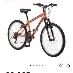 Pacific Sport マウンテンバイクの画像