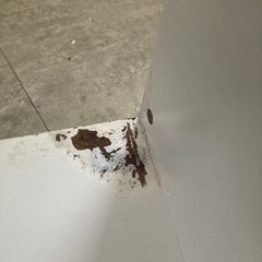 本棚の画像