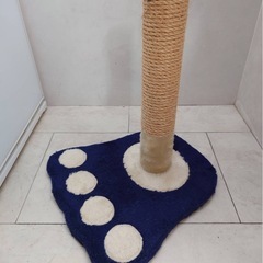 猫　爪研ぎの画像