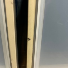 衣装ケース 2箱の画像