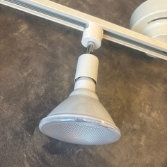 引き取りきてくださる方限定の画像