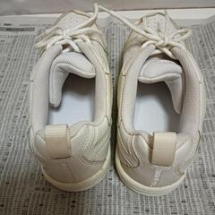 【無料】テニス用シューズ 23.5cmの画像