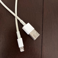 iPhoneの充電ケーブル　2本の画像