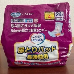 大人用紙オムツS＋尿取りパッド　4,300円相当の画像