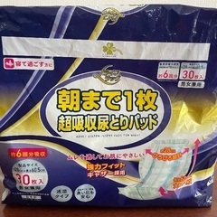 大人用紙オムツS＋尿取りパッド　4,300円相当の画像