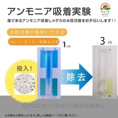 アンモニア吸着石　金魚　フィルター　カルキ抜き　の画像
