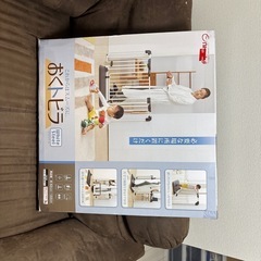 おくだけとおせんぼ　Sサイズの画像