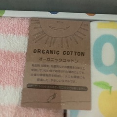 新品　はらぺこあおむし　タオルセットの画像