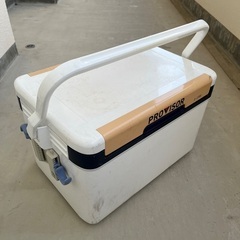 ダイワ　クーラーボックス27Lの画像