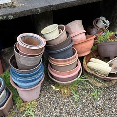 植木鉢一点からでも歓迎の画像