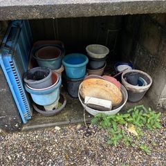 植木鉢一点からでも歓迎の画像