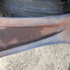 RAYS レイズ アーサーグリフォニ－ の画像