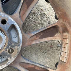 RAYS レイズ アーサーグリフォニ－ の画像