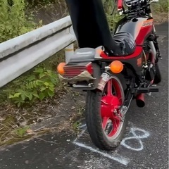 gpz250f
の画像