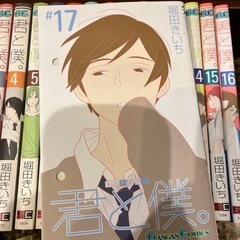 君と僕。　堀田きいち　1〜17巻まで全巻セットの画像