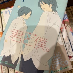君と僕。　堀田きいち　1〜17巻まで全巻セットの画像