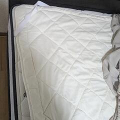 ニトリ Sealy セミダブル　収納ベッドとマットレスの画像