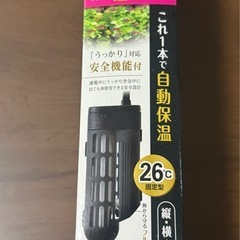 GEX Glassterior -MEDAKA- & GEX SAFE COVER AUTO HEATER 36 の画像