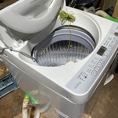 【現状品】SHARP 洗濯機 7.0kg 2017年製の画像