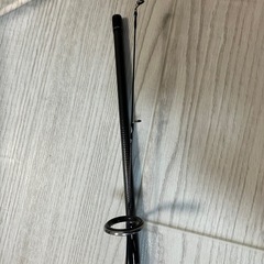 ダイワ  アジングロッドの画像