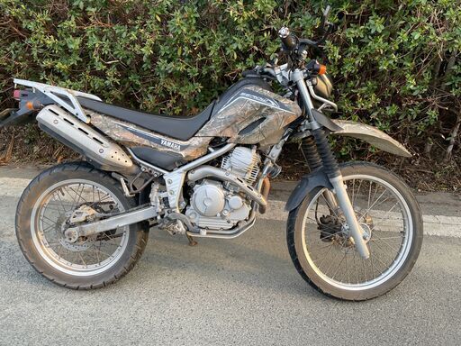 セロー250　25thアニバーサリー　リアルツリー DG17J