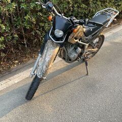 セロー250　25thアニバーサリー　リアルツリー DG17Jの画像