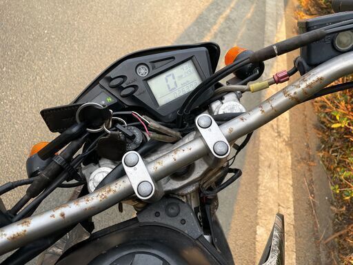 セロー25025thアニバーサリーリアルツリー DG17J (なおなお) 大清水の