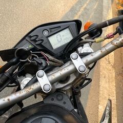セロー250　25thアニバーサリー　リアルツリー DG17Jの画像