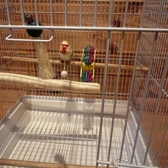 鳥かご   鳥籠 
ヒーター  の画像