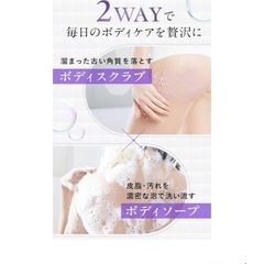 スクラモの画像