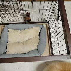 ゲージ　犬　サークル　ケージ　ペット　の画像
