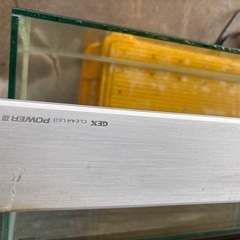 水槽飼育セットの画像
