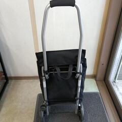 [TacaoF]テイコブ買い物キャリー(緑／黒）の画像